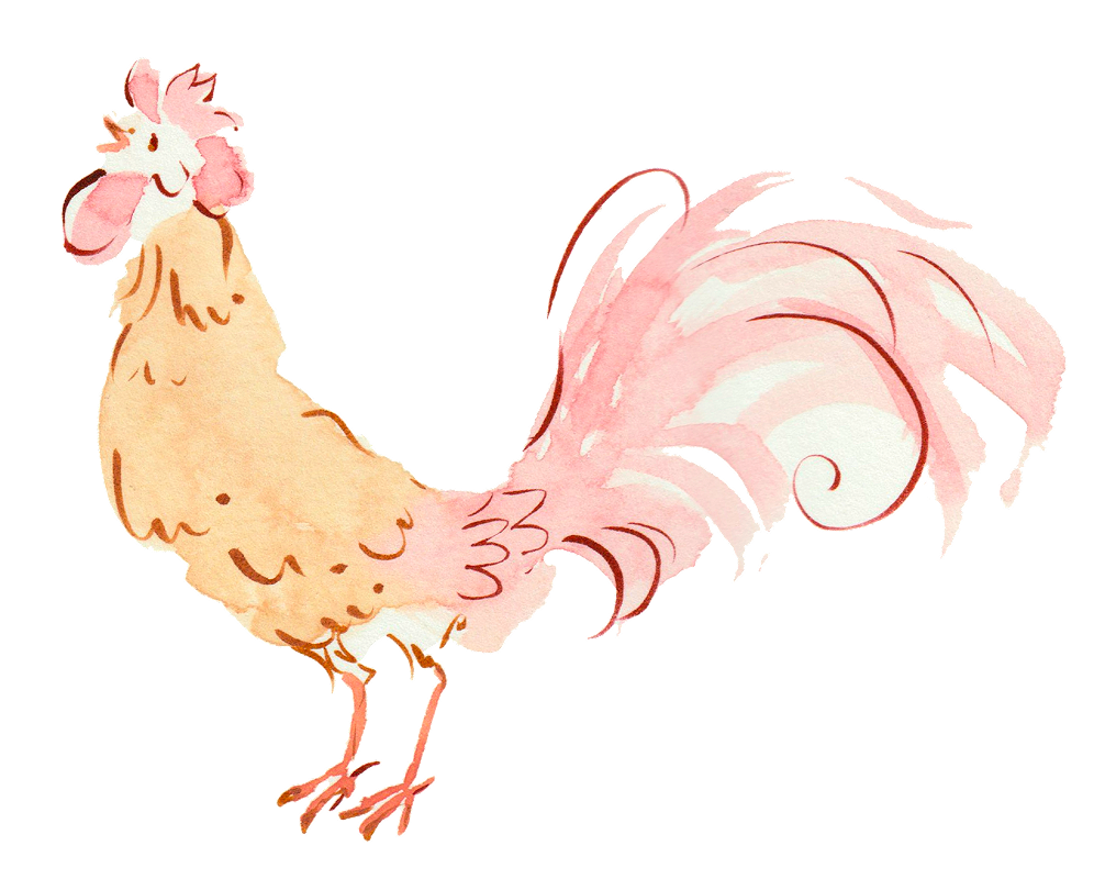 Rooster