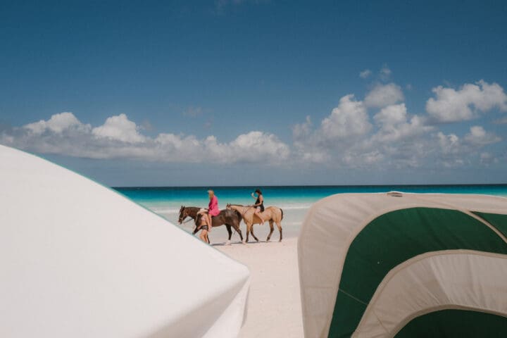 Horseback Riding